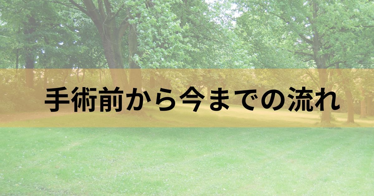 手術前からこれまでの流れ